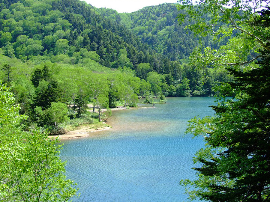 大沼池